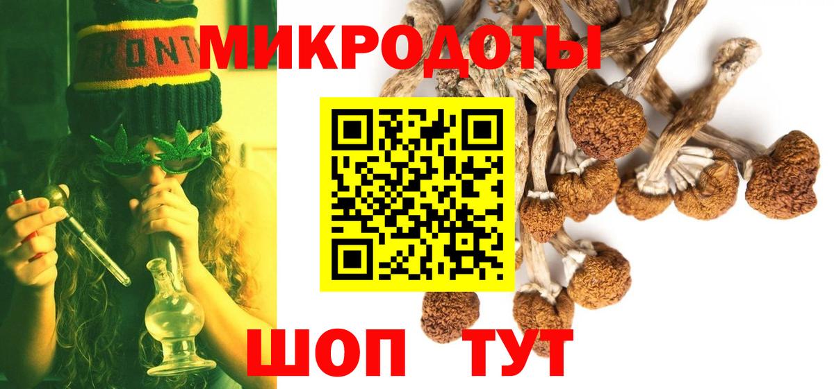 закладки  Вход с VPN  Волгодонск  Галлюциногенные грибы MAGIC MUSHROOMS  Псилоцибиновые грибы Psilocybe 
